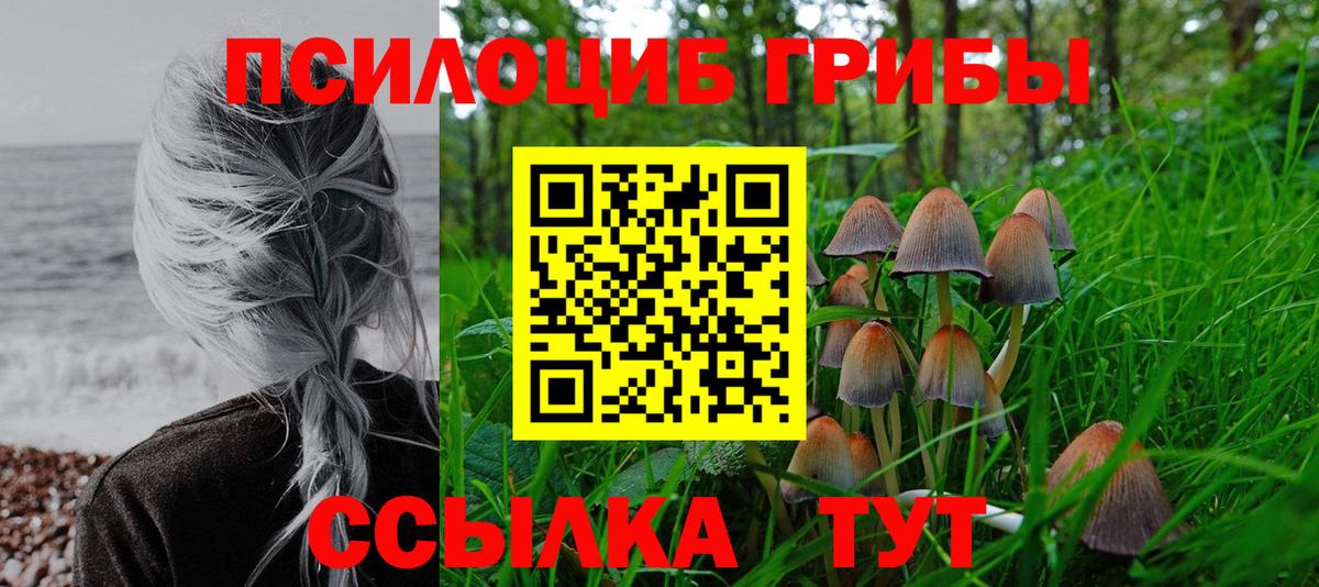 Псилоцибиновые грибы GOLDEN TEACHER Котельники